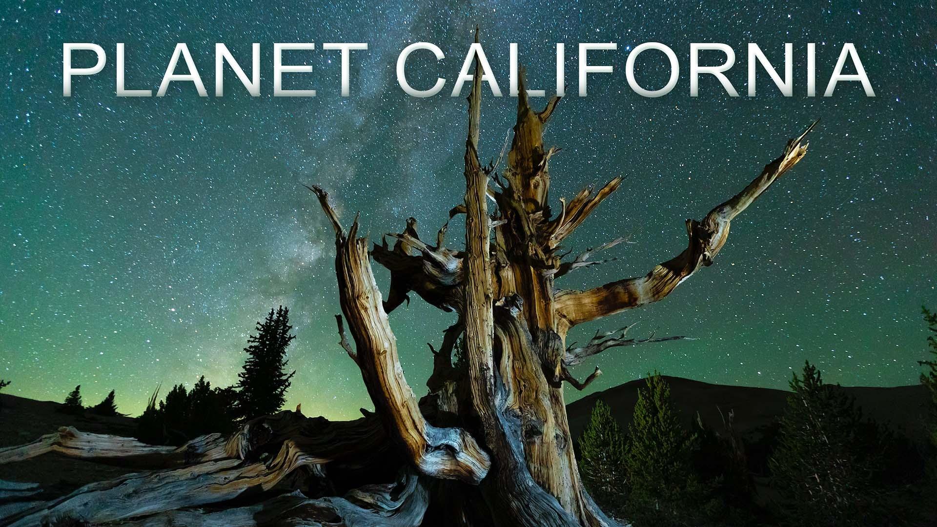 PLANET CALIFORNIA