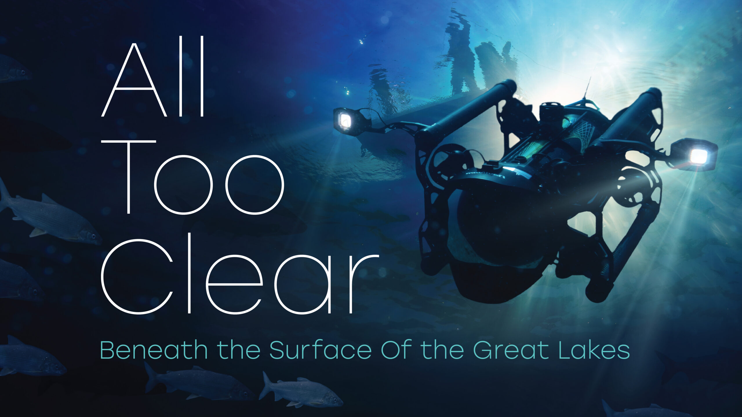 ALL TOO CLEAR