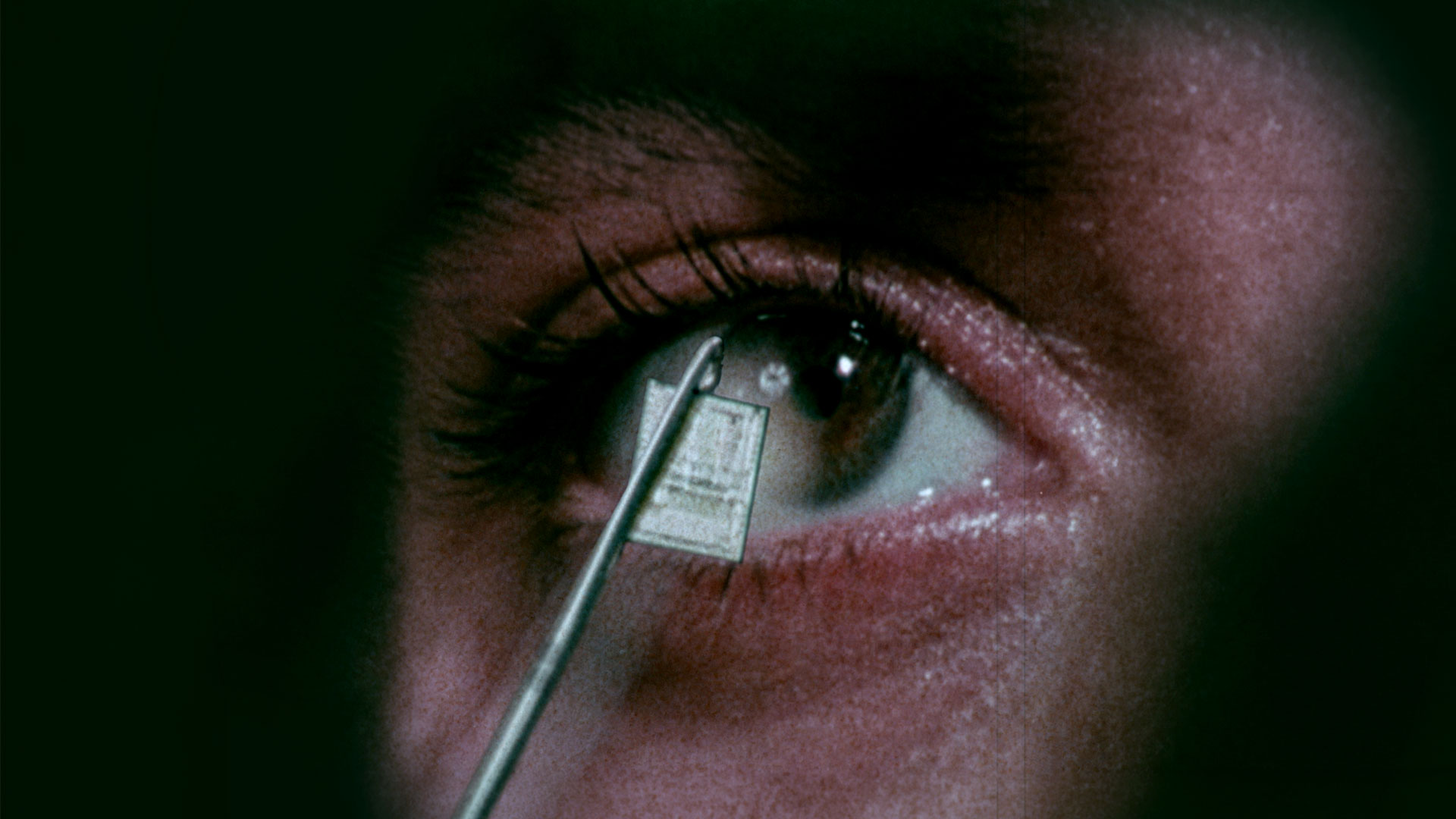 Independent Lens: Ghost in the Machine